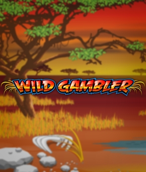 Wild Gambler