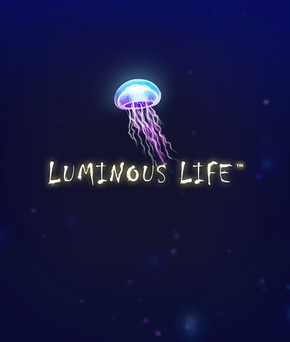 Luminous Life