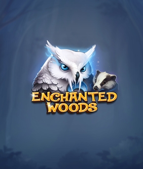 Enchanted Woods