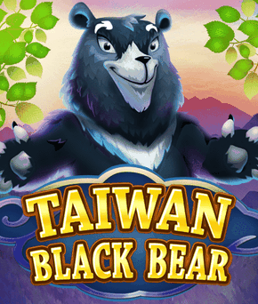 Taiwan Black Bear