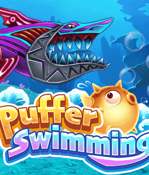Puffer Swimming