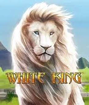 Bai Shi (White King APAC)