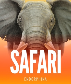 Safari
