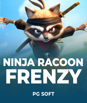 Ninja Racoon Frenzy