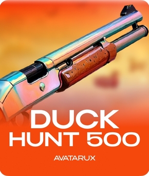Duck Hunt 500