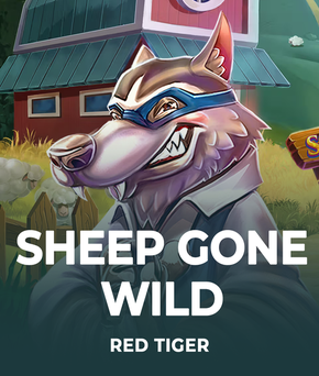 Sheep Gone Wild