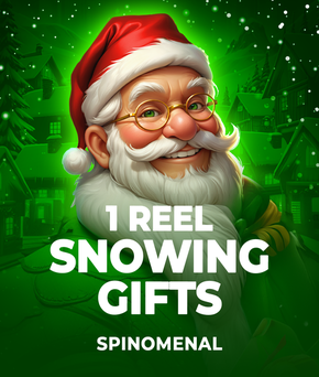 1 Reel - Snowing Gifts