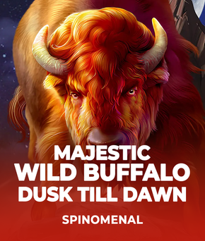 Majestic Wild Buffalo - Dusk Till Dawn