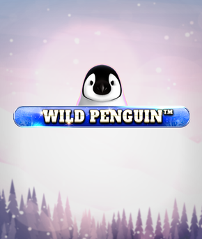 Wild Penguin