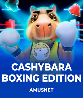 Cashybara Boxing Edition