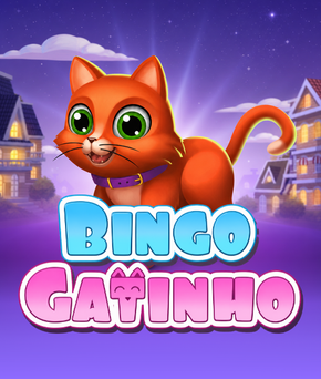 Bingo Gatinho